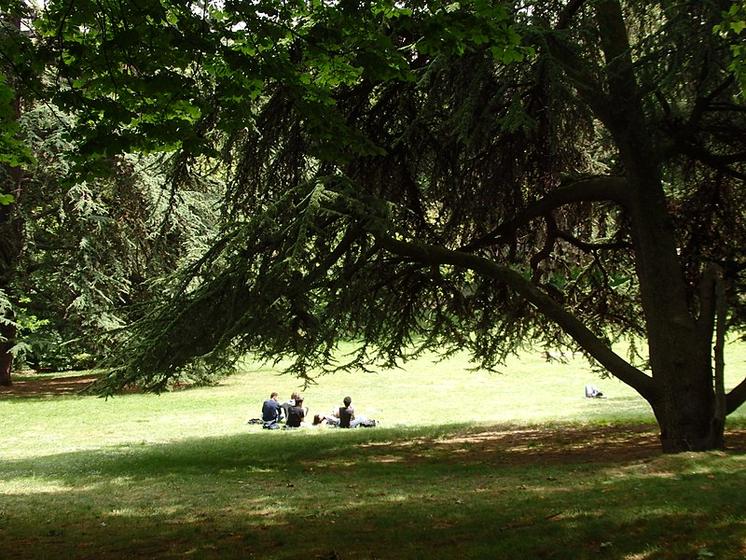 Parc Montsourisd