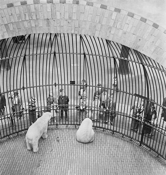 Zoo de Berlin, 1930-35