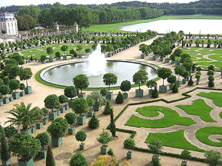 parterre de l' orangerie de Versailles