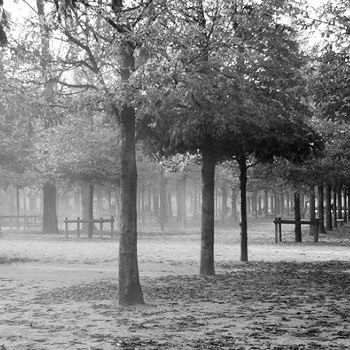 The ghost of Tuileries