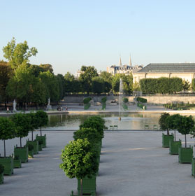 Jardin des Tuileries